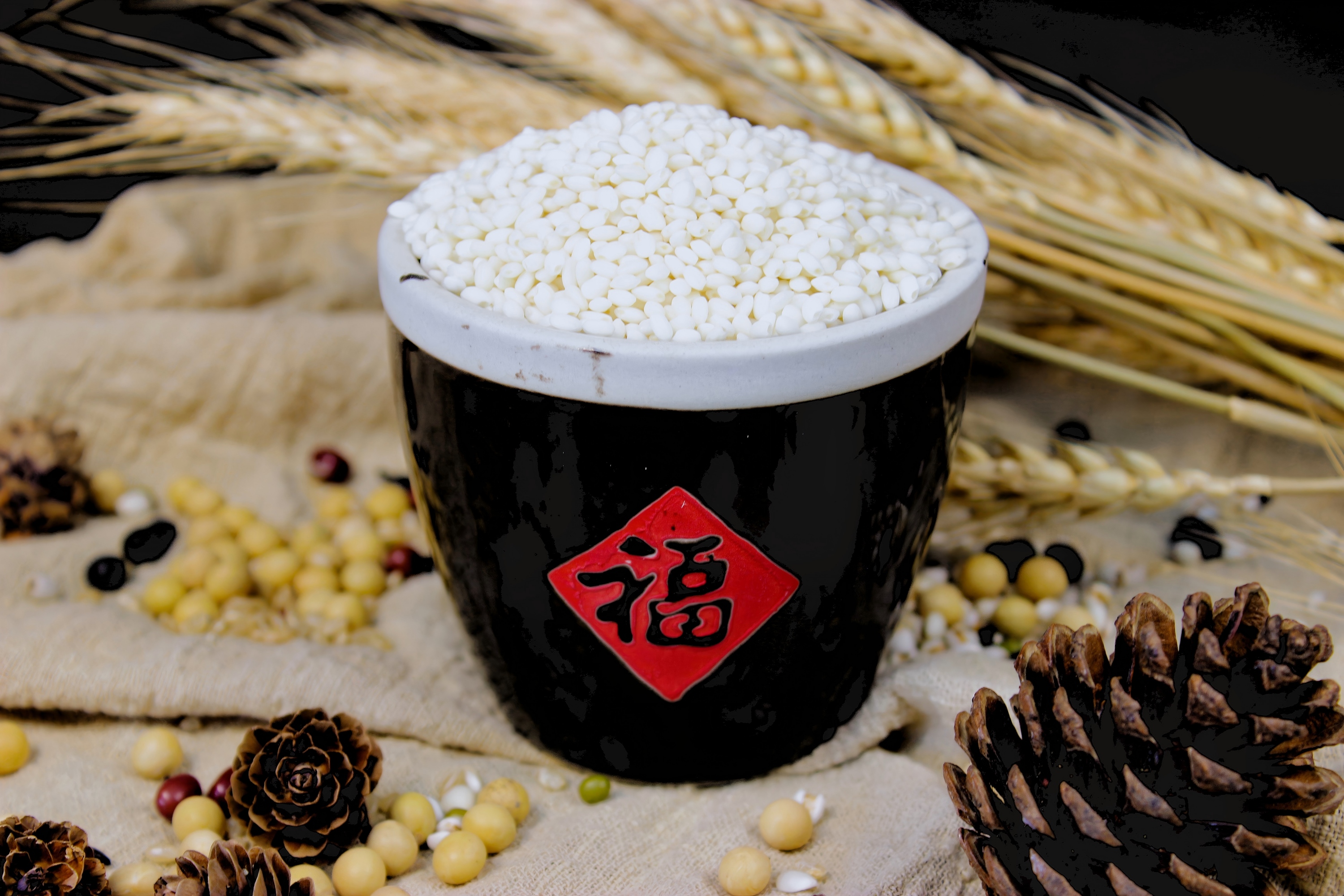 Sticky Rice2