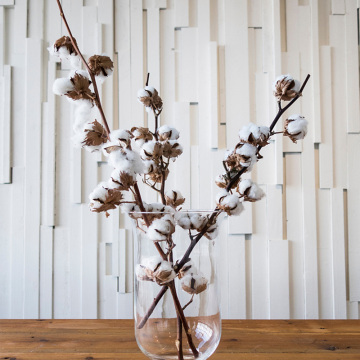 10 Heads Dried Cotton Flowers Natural Cotton Floral Branch DIY Bouquet for Home Wedding Christmas Table Decoration fall Decor