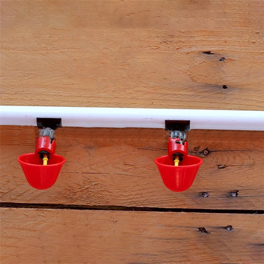 6Pcs Chicken Feed Automatic Bird Coop Poultry Chicken Fowl Drinker Water Drinking Cups 0419#30
