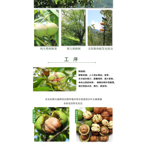Premium White Walnuts In Shell Natural Flavor