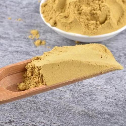 Free Sample Organic Astragalus Root Extract Powder for Sale, Offer Free Sample Organic Astragalus Root Extract Powder