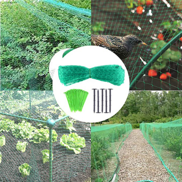 Orchard Plants Fruit Agriculture Net Vegetable Seedling Seed Tree Crop Plant Anti-Bird Net Garden Pest Animal Control