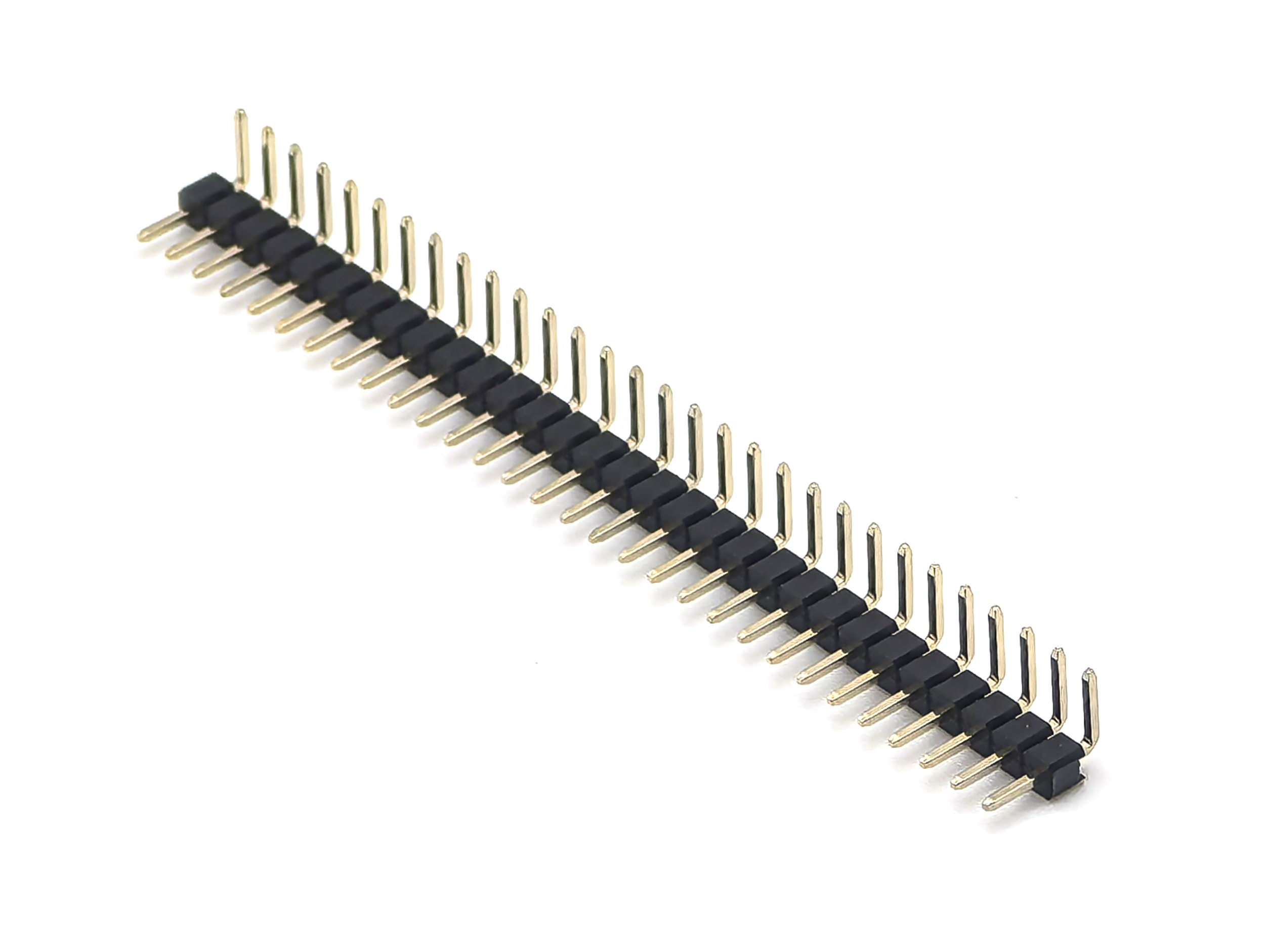 Main-03