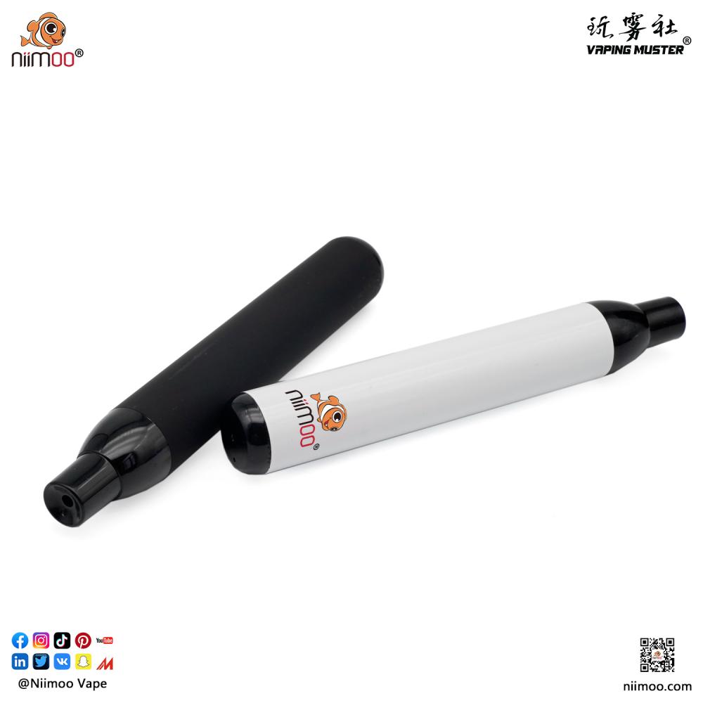 Disposable Vape Elfbar