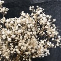 25g Babysbreath Natural Fresh Dried Preserved Flowers,Real Forever Baby Breath Flower Branch For DIY Eternal Flower Material