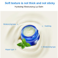 HEYXI Moisturizing Lip Balm Lipstick Natural Plant Anti-Cracking Organic Lip Balm Mask Pure Petroleum vase Jelly Lip Care TSLM2