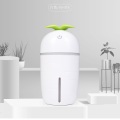 Electric Ultrasonic Air Humidifier Facial Steamer Device Essential Aroma Oil Diffuser For Home Car Mist Maker With LED Night