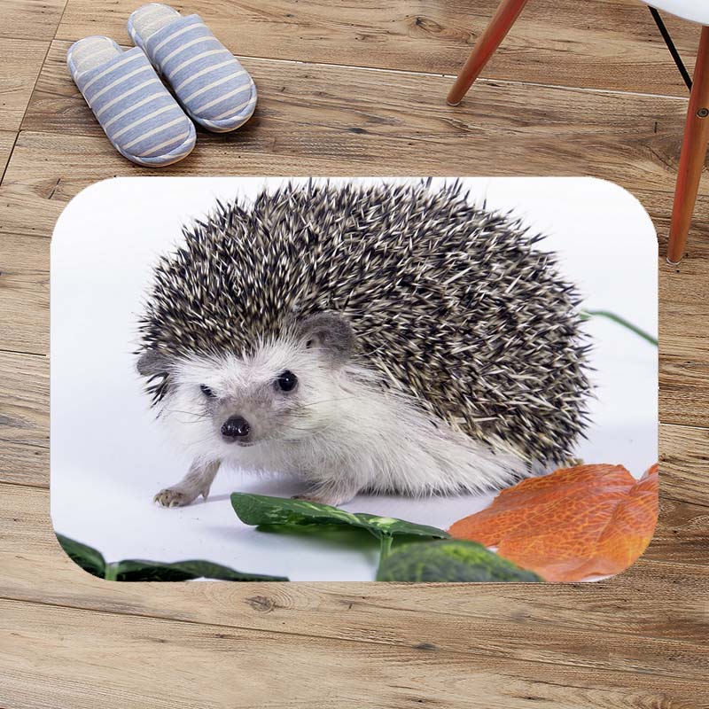 Bath Mats hedgehog Anti Slip Bathroom Mat Suede Floor Bath Mat Washable Toilet Rugs Custom Kitchen Carpet