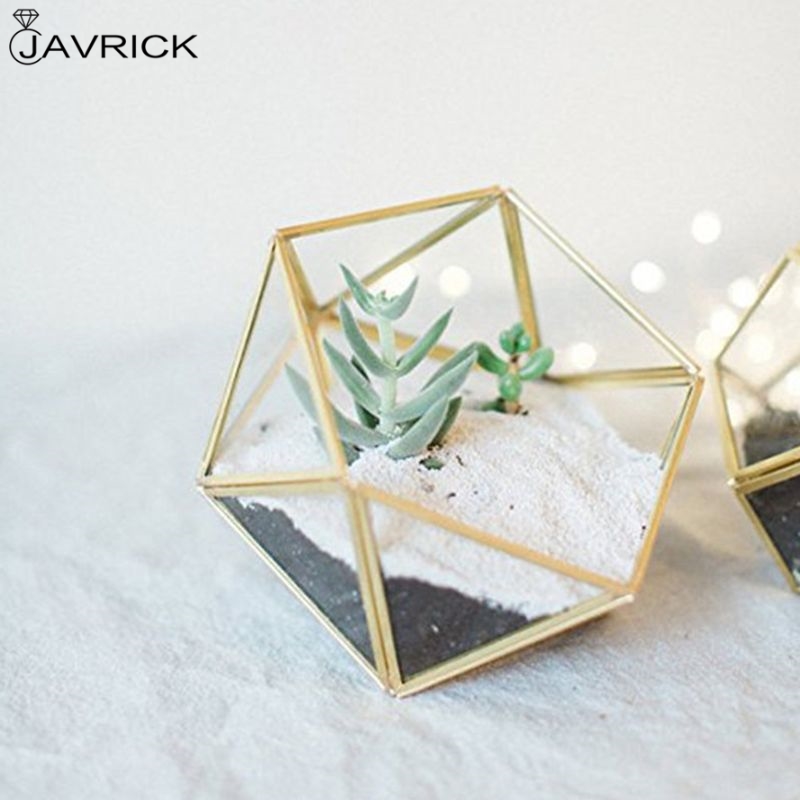 Glass Terrarium Storage Box Jewelry Holder,Glass Geometric Terrarium Tabletop Succulent Plant Box Planter Holder Case