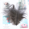 Glitter Powder Ostrich Feathers 6-8 inches Ostrich Plumes for Wedding Home Party Decoration Crafts 10 Pcs / Lot