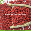 Factory Supply Nutrition Dried Chinese Wolfberry
