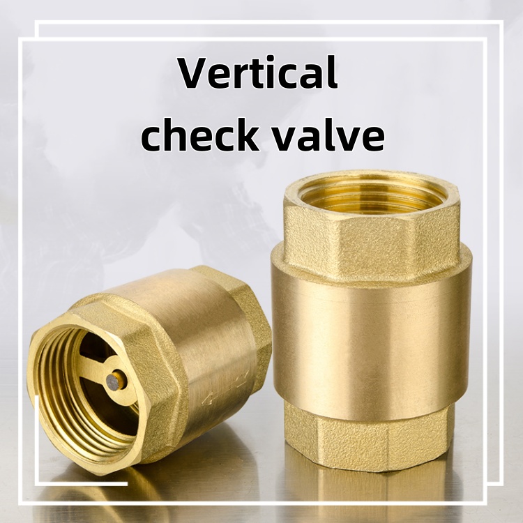 Spring Brass Check Valve