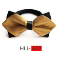 HLJ-A22
