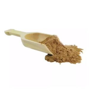 High Quality White Dried Pleurotus ostreatus extract powder