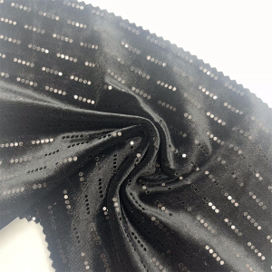 Velevt Bottom With Sequined Fabric