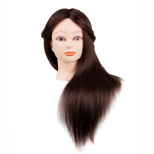 Cosmetology Doll Head Real Human Hair Training Head Supplier, Supply Various Cosmetology Doll Head Real Human Hair Training Head of High Quality