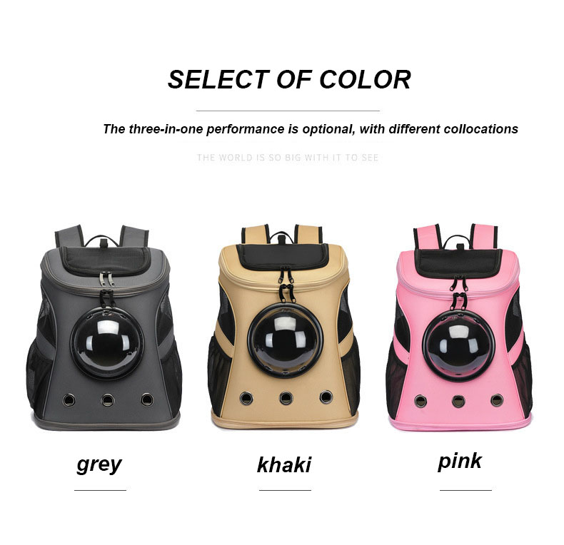 Pet Travel Carrier
