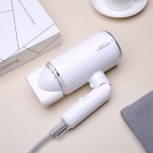 Lopheus Anion Hair Dryer Negative Ion hair care Professinal Quick Dry Home 1800W Foldable handle