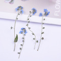 100pcs,Natural Pressed forget-me-not flowers with Stem,Real Dried Flower for DIY Wedding invitation Craft Bookmark Gift Cards