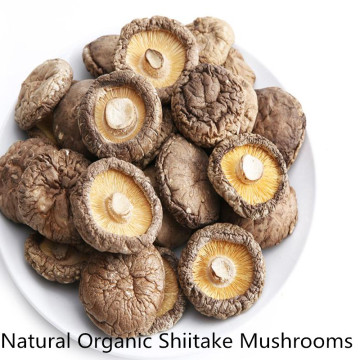 100% Natural Organic Shiitake Mushrooms, pure wild dried shiitake mushrooms, xiang gu, free shipping