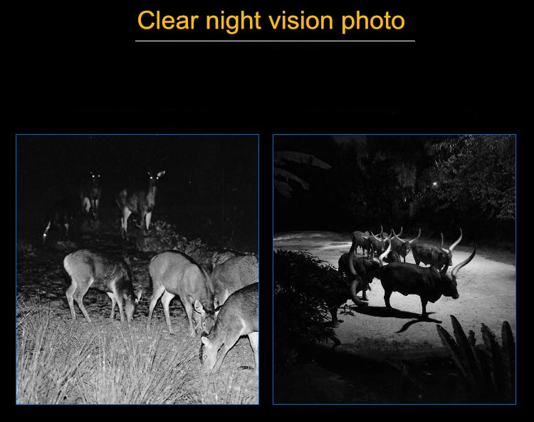 Night Camera 12MP 1080P Trail Hunting Camera Wildcamera Wild Surveillance 2'' TFT Night Wildlife Scouting Cameras Photo