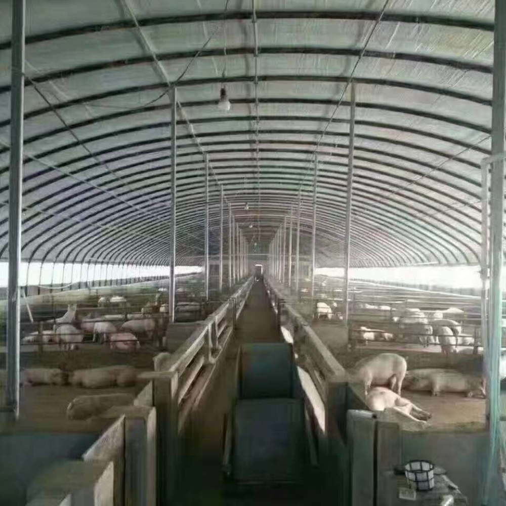 Single Greenhouse For Poultry Breeding