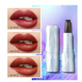 Matte Soft Mist Lipstick Three-color In One Lispstick Lasting Waterproof Makeup Lipstick Easy To Color Lipgloss Cosmetics TSLM1