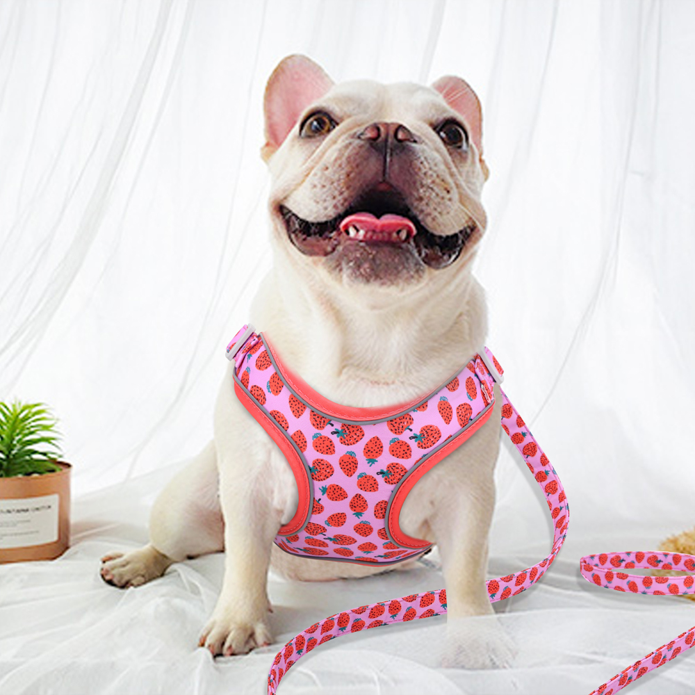 New Fashion Nylon Dog Harness Leash Set Reflective Fruit Printed Dog Vest Leash For Medium Large Dogs French Bulldog Harness
