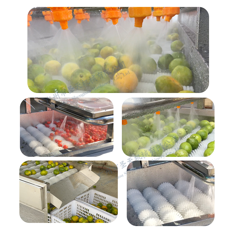 fruit washing machine