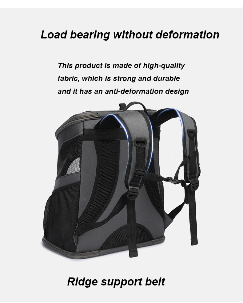 Pet Travel Carrier