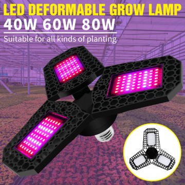 Indoor Flower Seed Plant Light 40W 60W 80W Phyto Lamp LED Full Spectrum Hydroponics System Lights LED Seedling Fito Lampada 220V