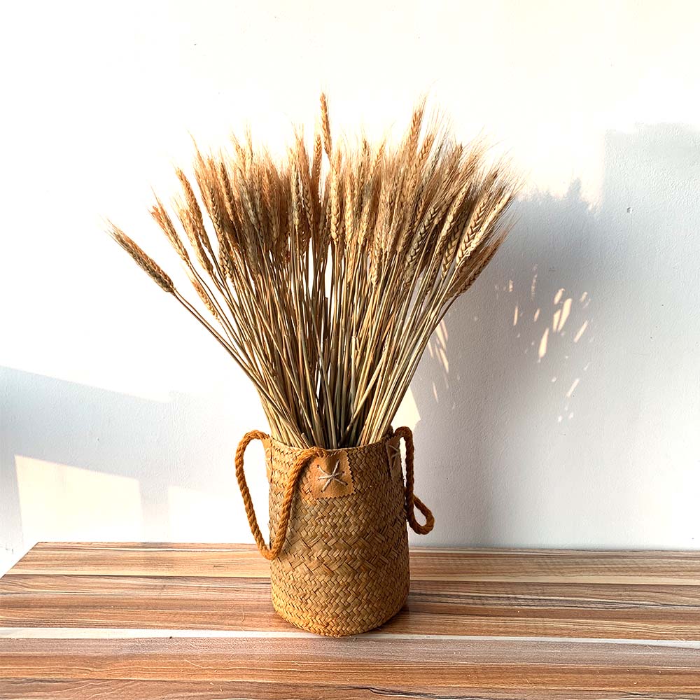 50Pcs/lot Real Wheat Ear Flower include Hand Woven Basket Natural Dried Flowers Wedding Home Decoration Wheat Bouquet