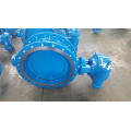 ANTI-SEISMIC EXPANSION JOINT CI GATE VALVE