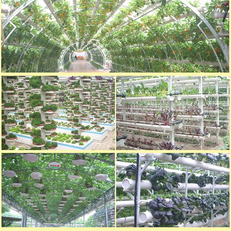 Vegetables Soilless Culture System Sponge Hydroponics Soil-less Culture Cultivation Sponge Water Planting For Home Garden