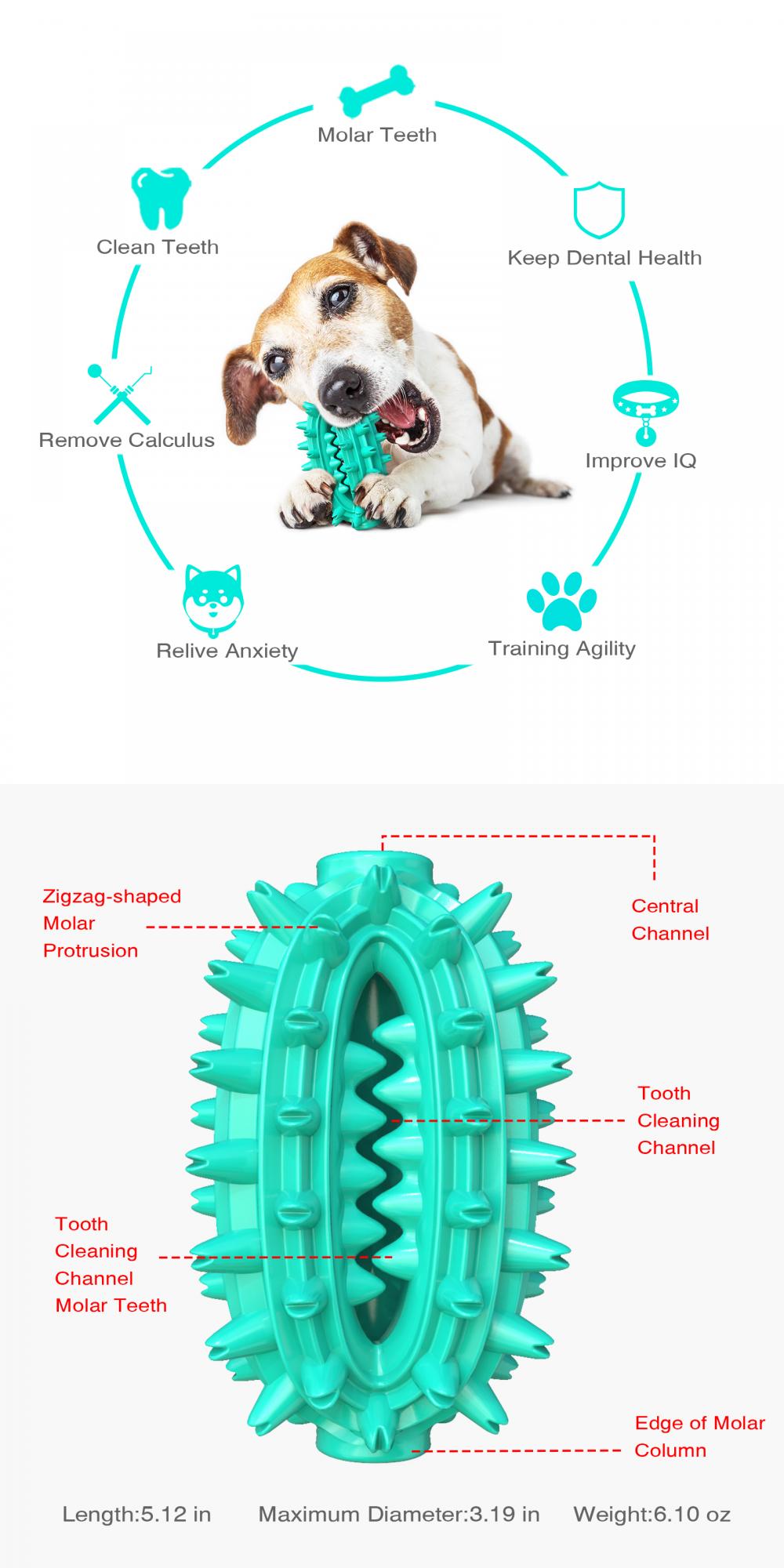 Dog Toy