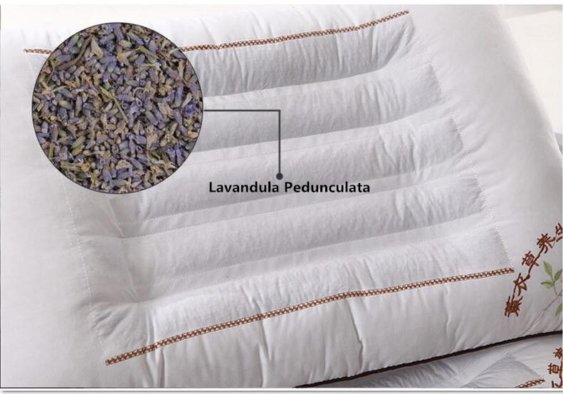 JaneYU Cassia seed/lavender/jasmine/buckwheat husk filling pillow Genuine top magnetic therapy gifts Cassia health care pillow