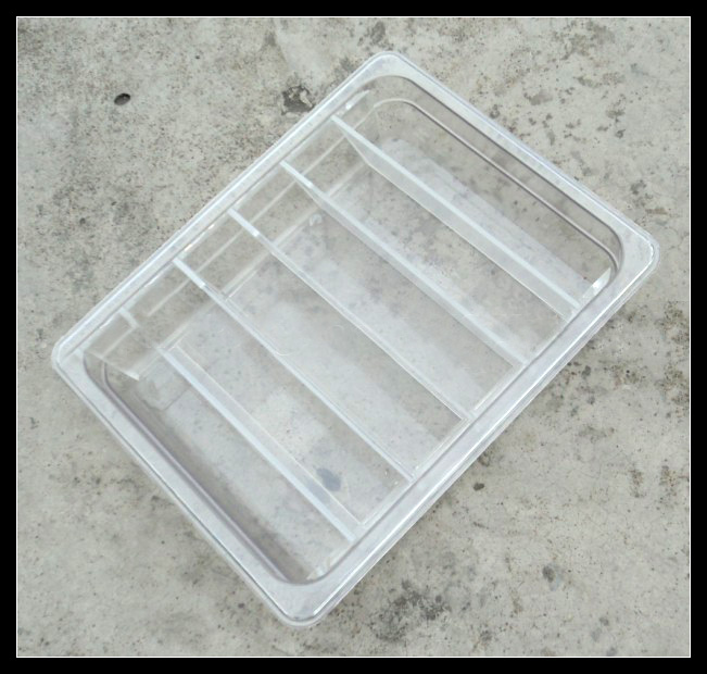 Ice Pop Tray Popsicle Display Tray ice lolly show shelf environmentally friendly materials PV plastic