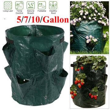 Plant Grow Bag Strawberry Seedling Flower Pot Vegetable Grow Bags Pot Plant Tomato Potato Grow Bag For Plants Nursery Pot D30