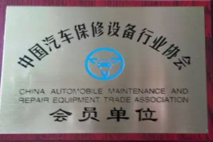 wheel alignment association member