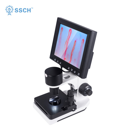 blood circulation detector body health analyzer machine for Sale, blood circulation detector body health analyzer machine wholesale From China