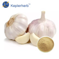 https://www.bossgoo.com/product-detail/garlic-extract-factory-suppply-60968180.html
