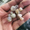 Lovely natural Crystal Mushroom Agate Crystal Polishing Mushroom Meditation Reiki healing natural quartz crystal 5pcs