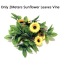Only Sunflowers vine