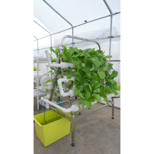 Skyplant Vertical home hydroponics grow kit Manufacturers and Skyplant Vertical home hydroponics grow kit Suppliers