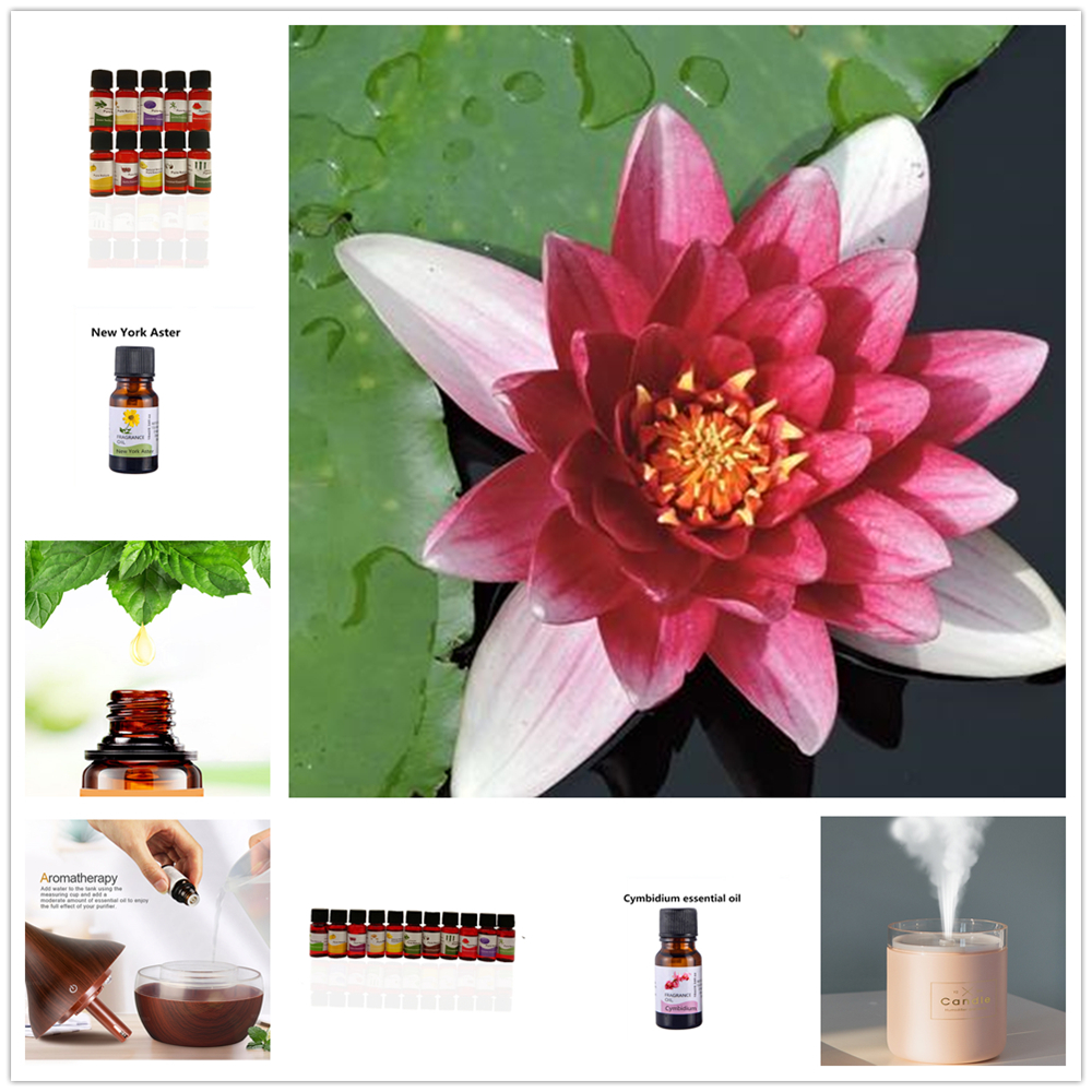 10ml*1pcs Pure Essential Oils for Aromatherapy Diffusers Sunflower Lemongrass Orange Camellia Rose Oil Home Car Air Care