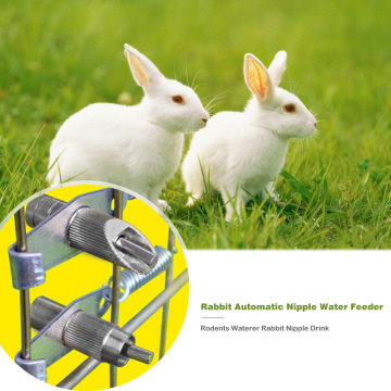 Small Automatic Nipple Water Feeder Rabbit Drinking Fountain Drinker Home Rabbit Portable Accessories for Pet Feeding