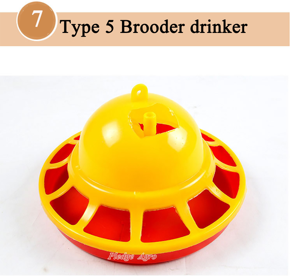 1 pcs Bell Type Chicken Drinking Automatic Chick Drinking Fountain Brooder Drinkers Set Poultry Cup Farm Animal Watering Supply