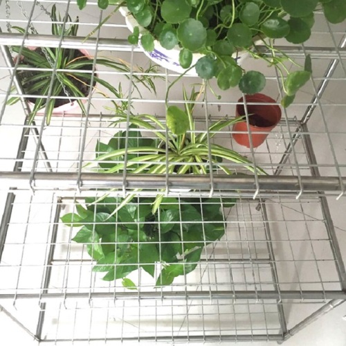 Skyplant Walk in Mini Garden Greenhouse Manufacturers and Skyplant Walk in Mini Garden Greenhouse Suppliers