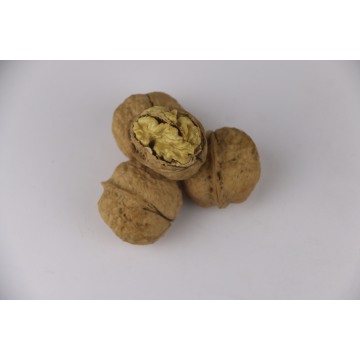 Fresh Crop Washed Walnuts Wholesale Price