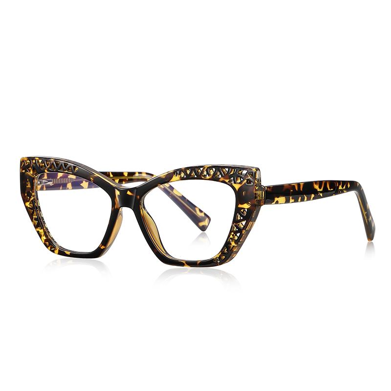 Progressive Color Optical Frame (2)